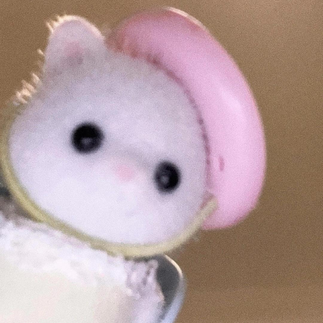 菜菜@