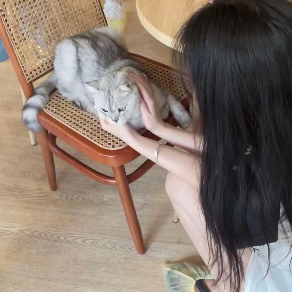 铭铭服饰.