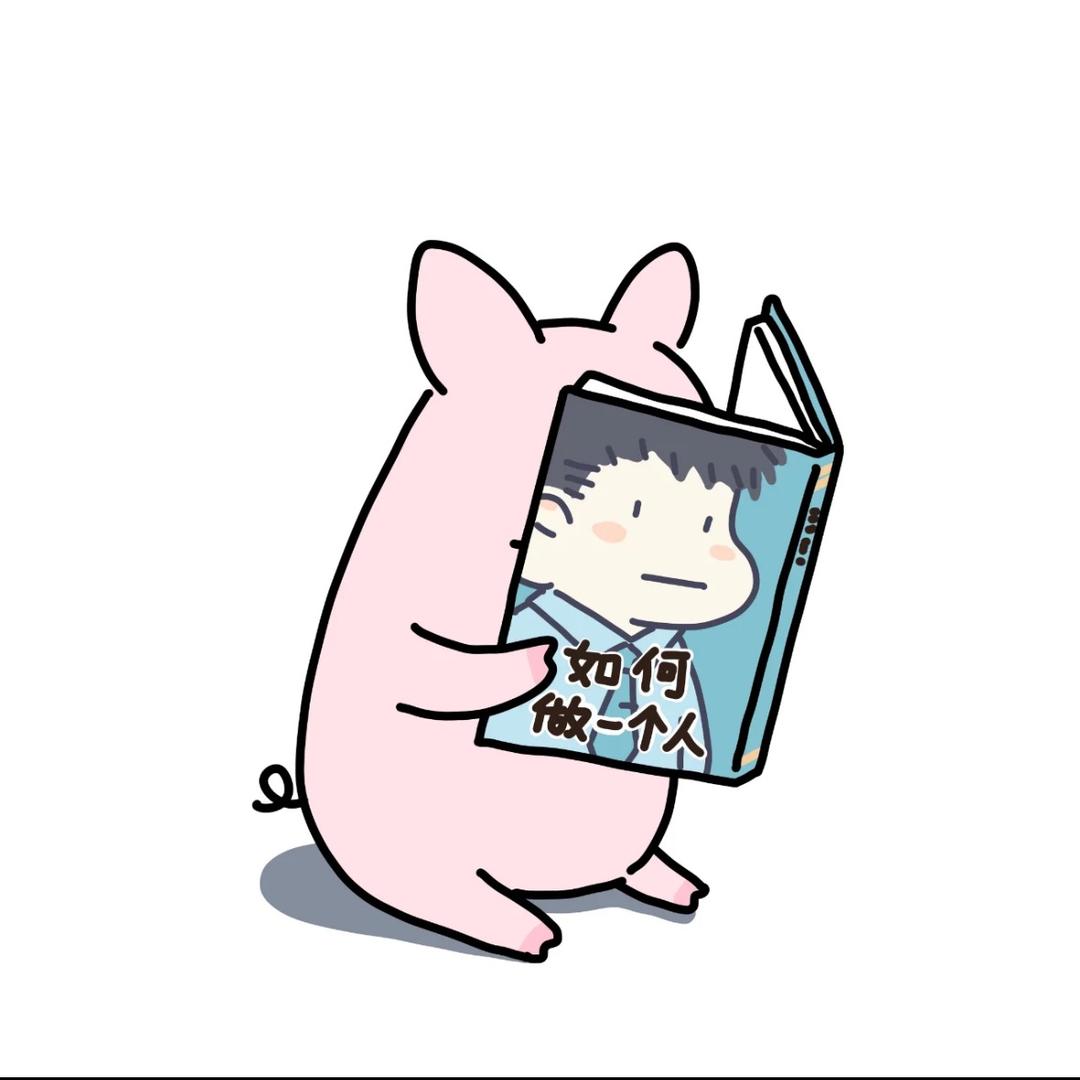 猪猪小韩