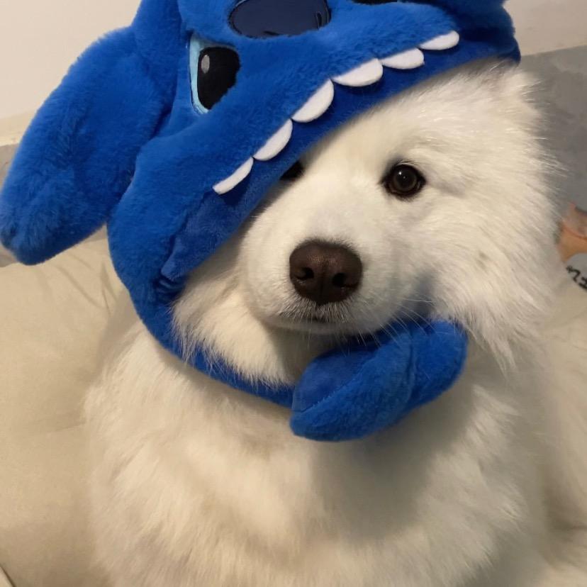 11点前不睡不改名