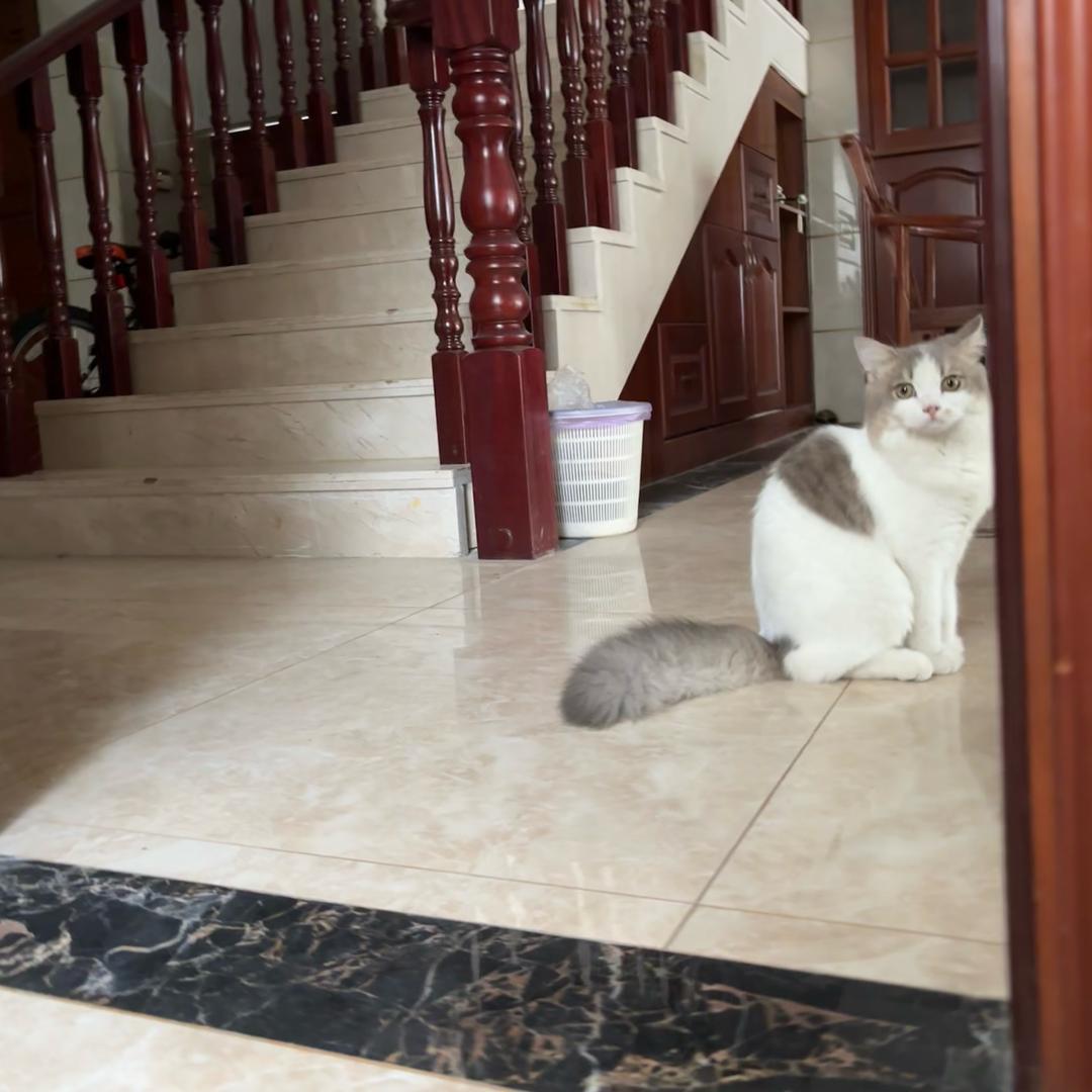 ooo不一样的烟火ooo