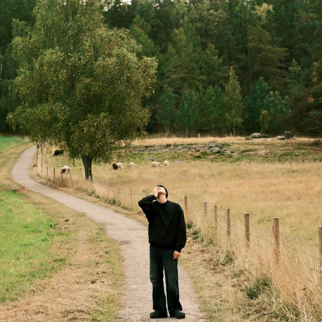 李兴【无 印】.