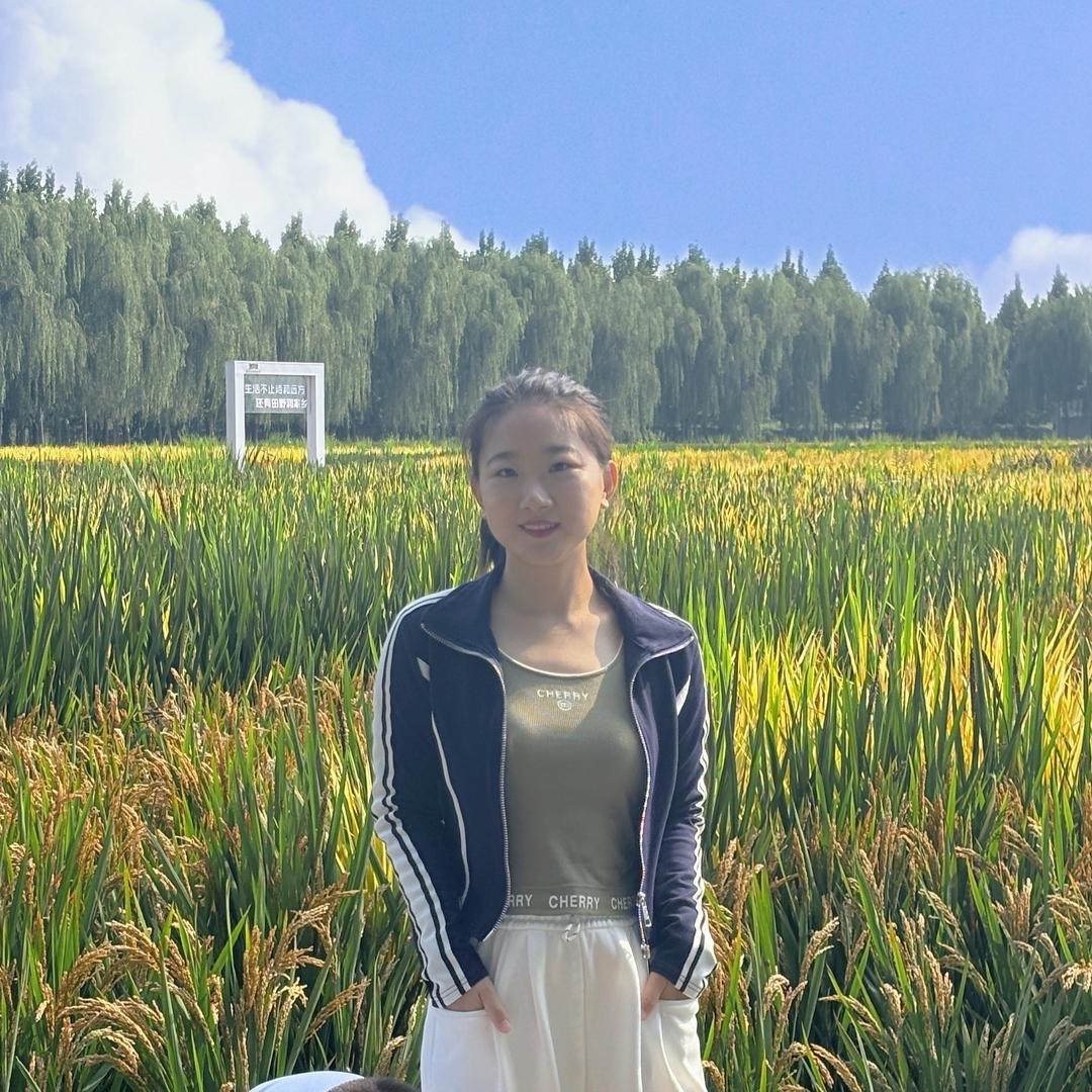 大杏子