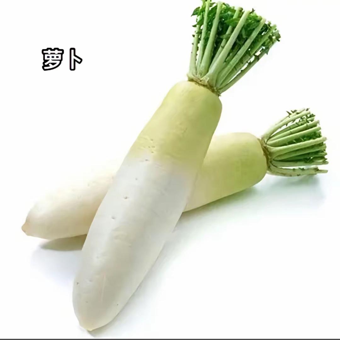萝卜酱