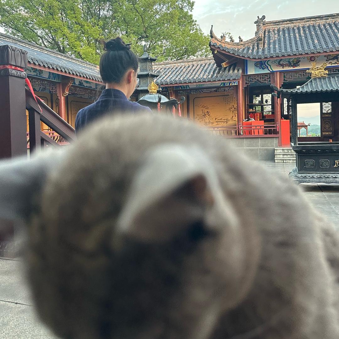 见了珩道要礼貌