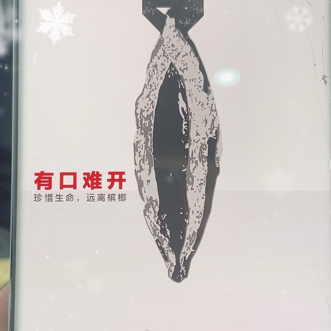 东北榔子弟