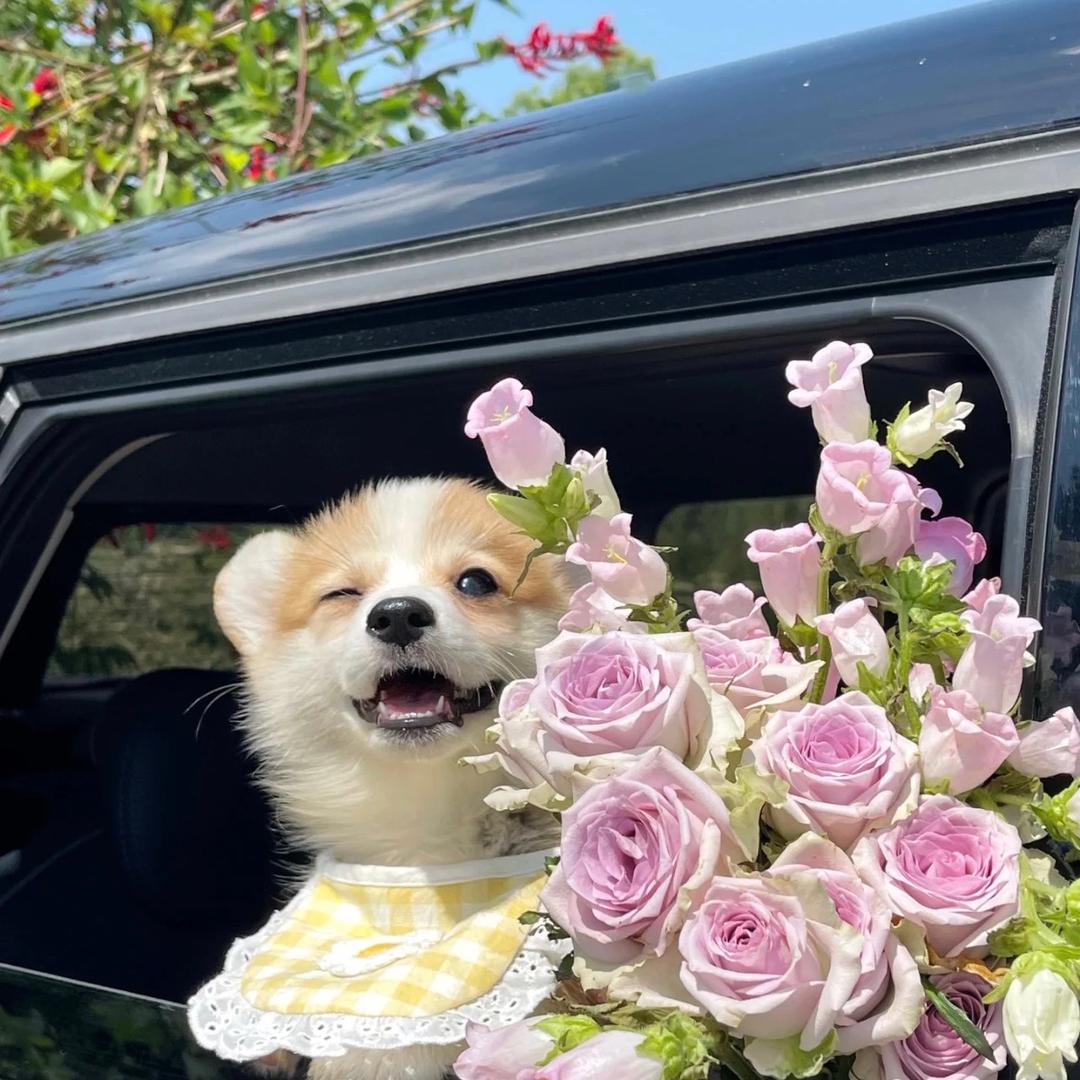 苏敏美美得小店