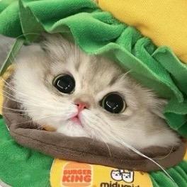 Re-
