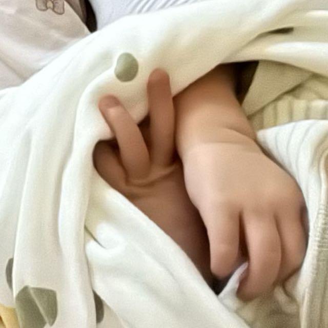 燕.