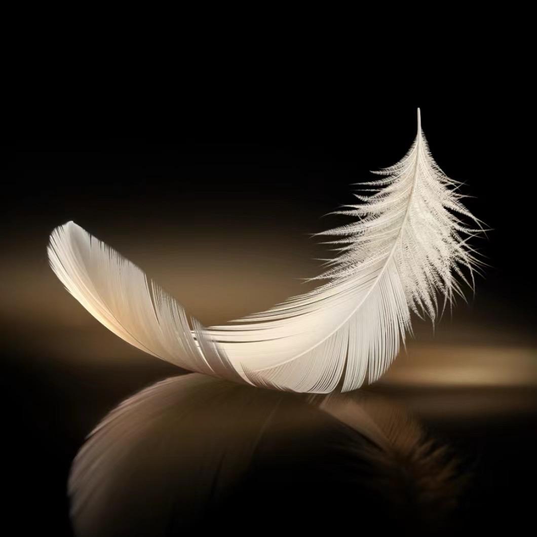 。。。。。。。Z