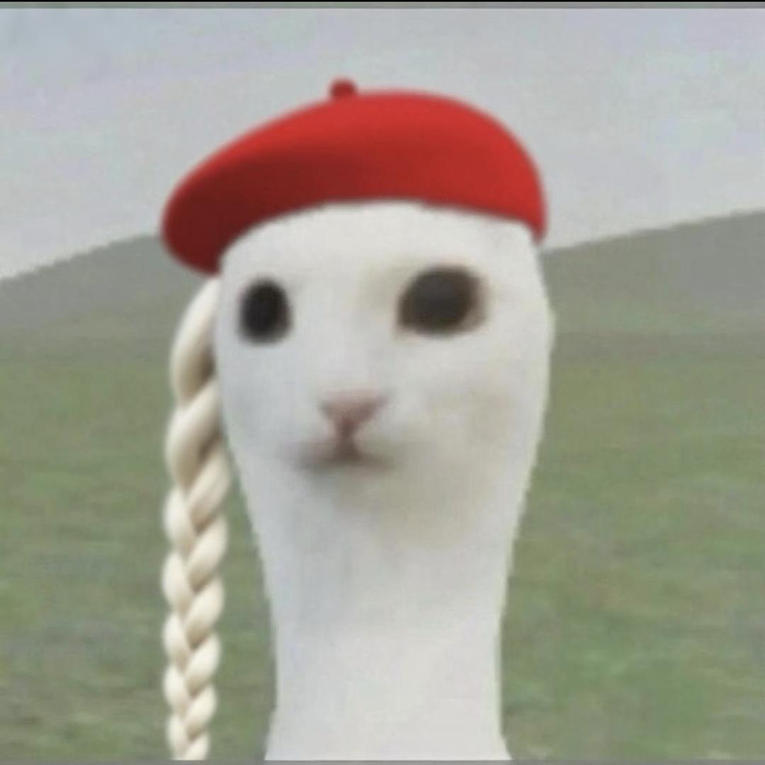 伐晓得