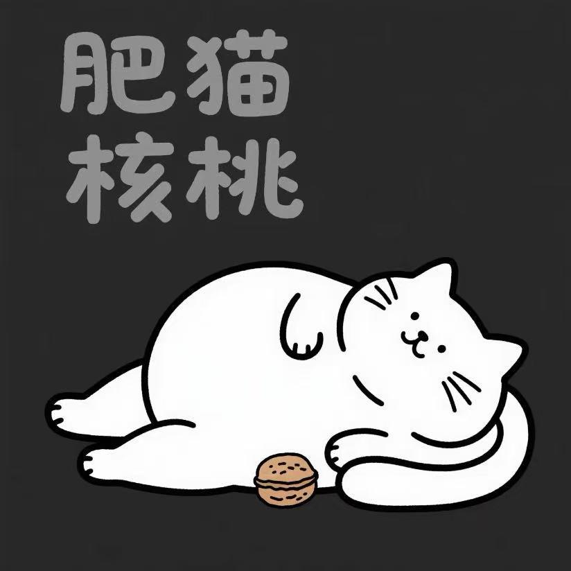 肥猫文玩核桃
