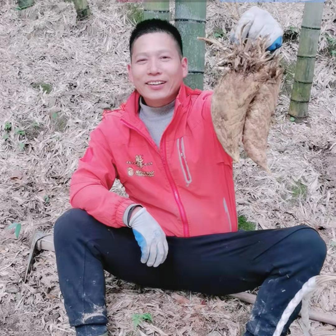 守候竹乡