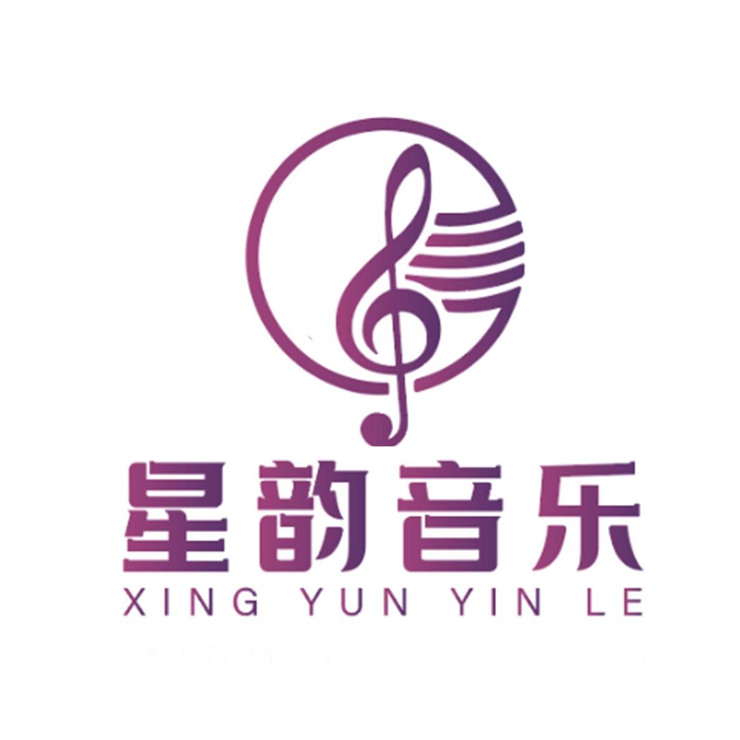 星韵车载DJ音乐优盘