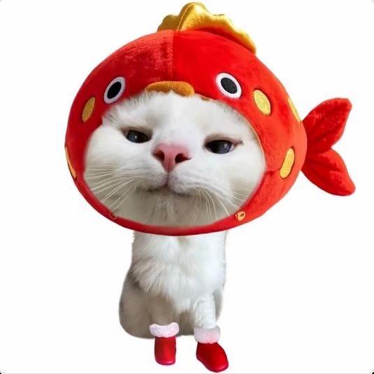 困困魚