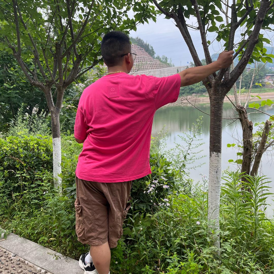 辉煌靠自己