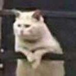 盯着21的网名看干嘛