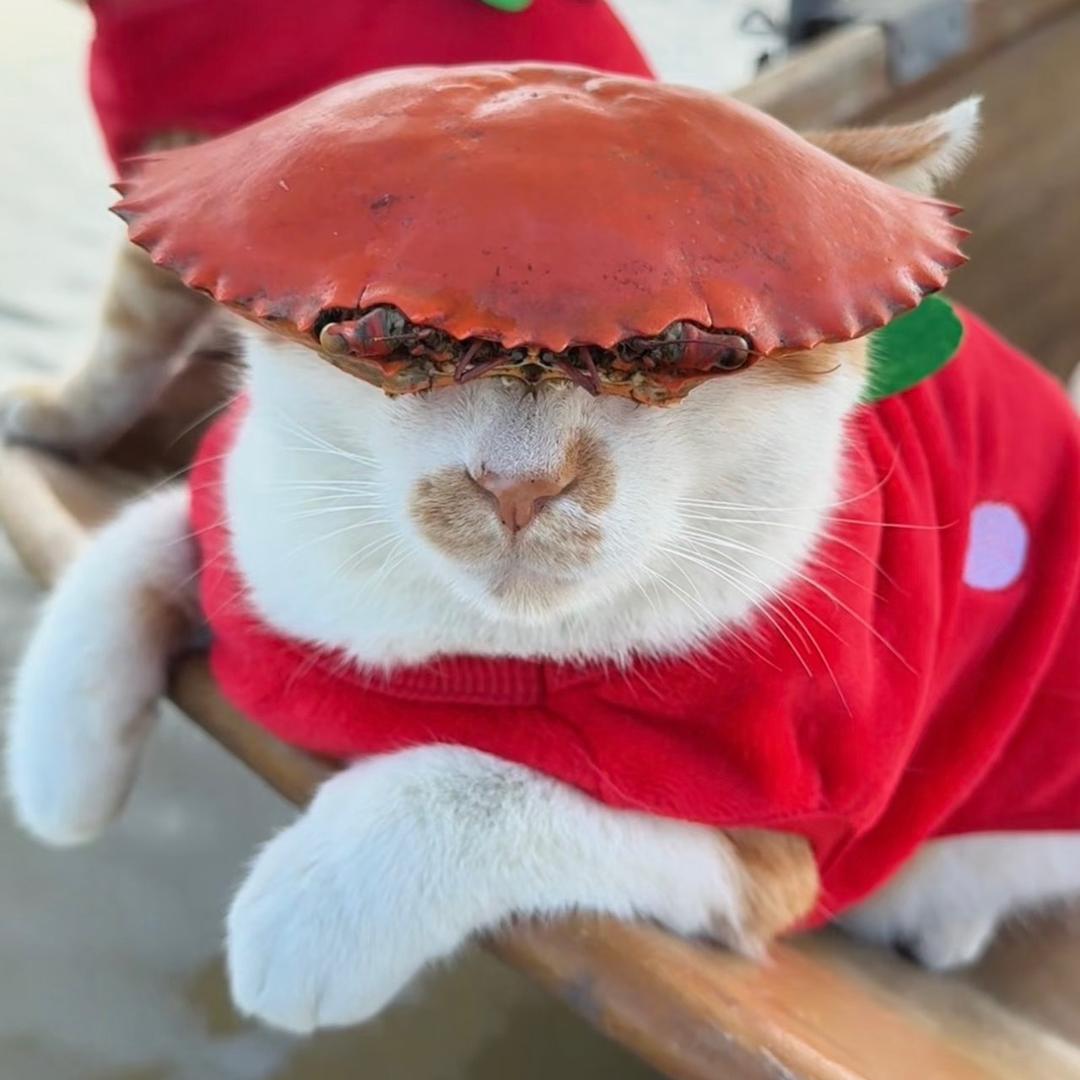 精神胜利法