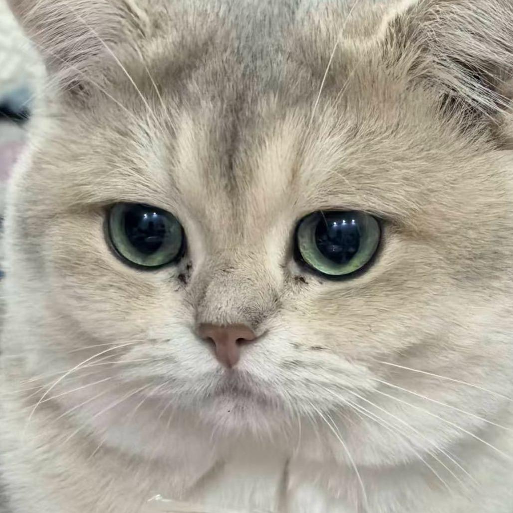 軒👿(三角洲行动)