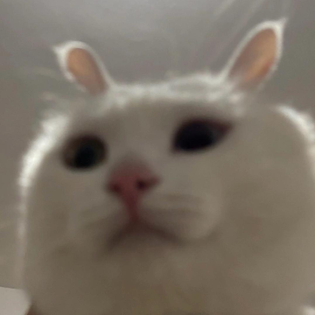 财来好运来