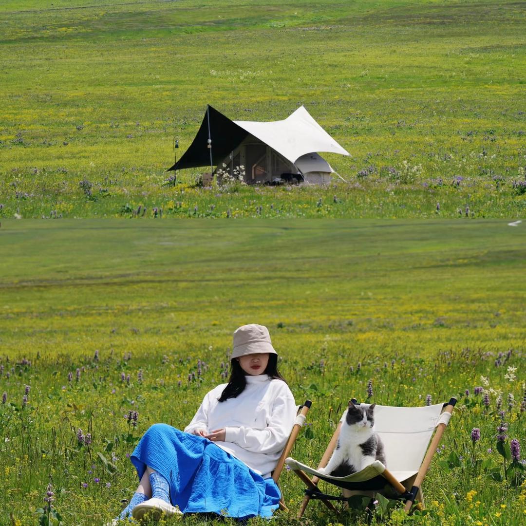 新疆户外露营帐篷🏕️