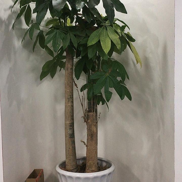 小张同城达零售超市