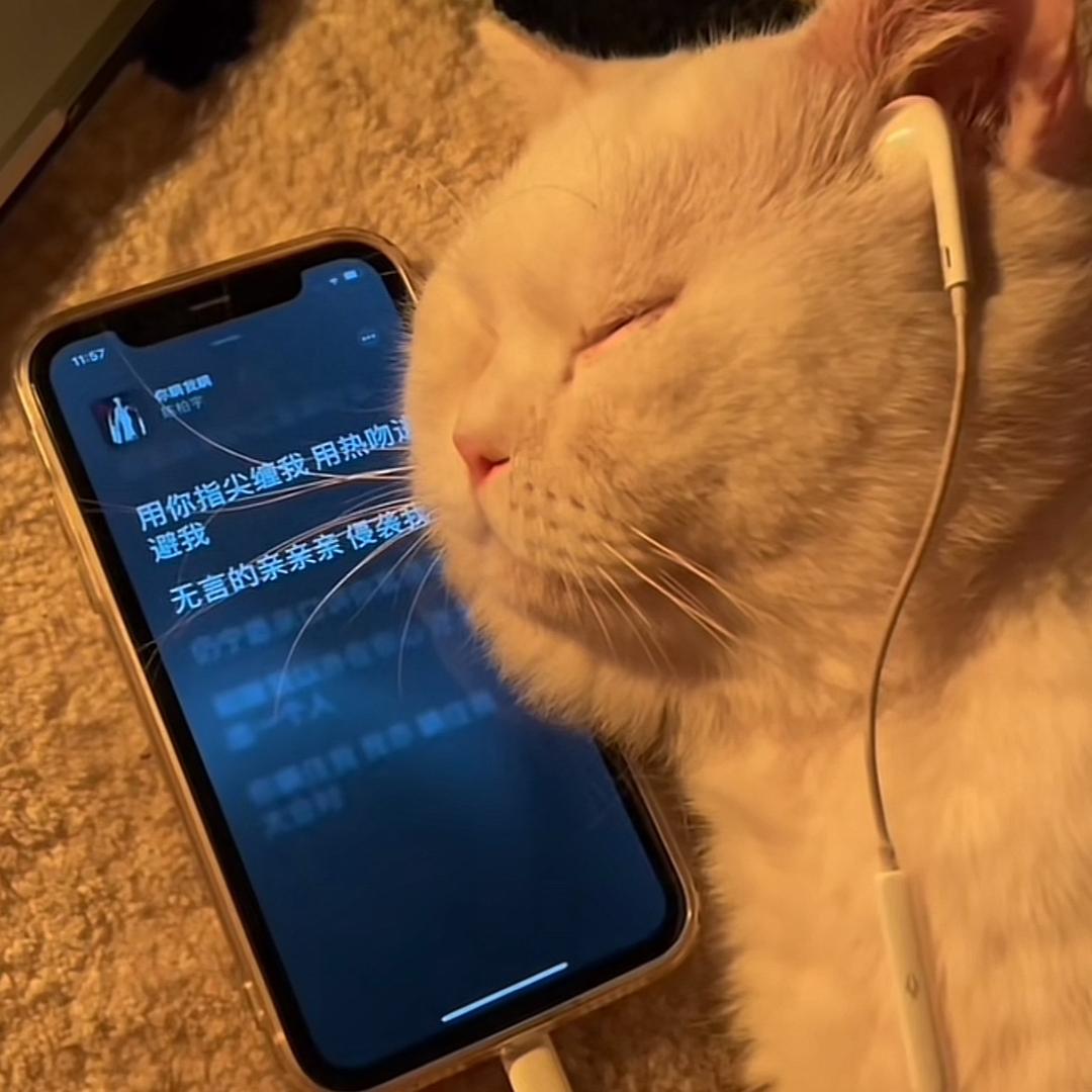 好爱吃麦当当