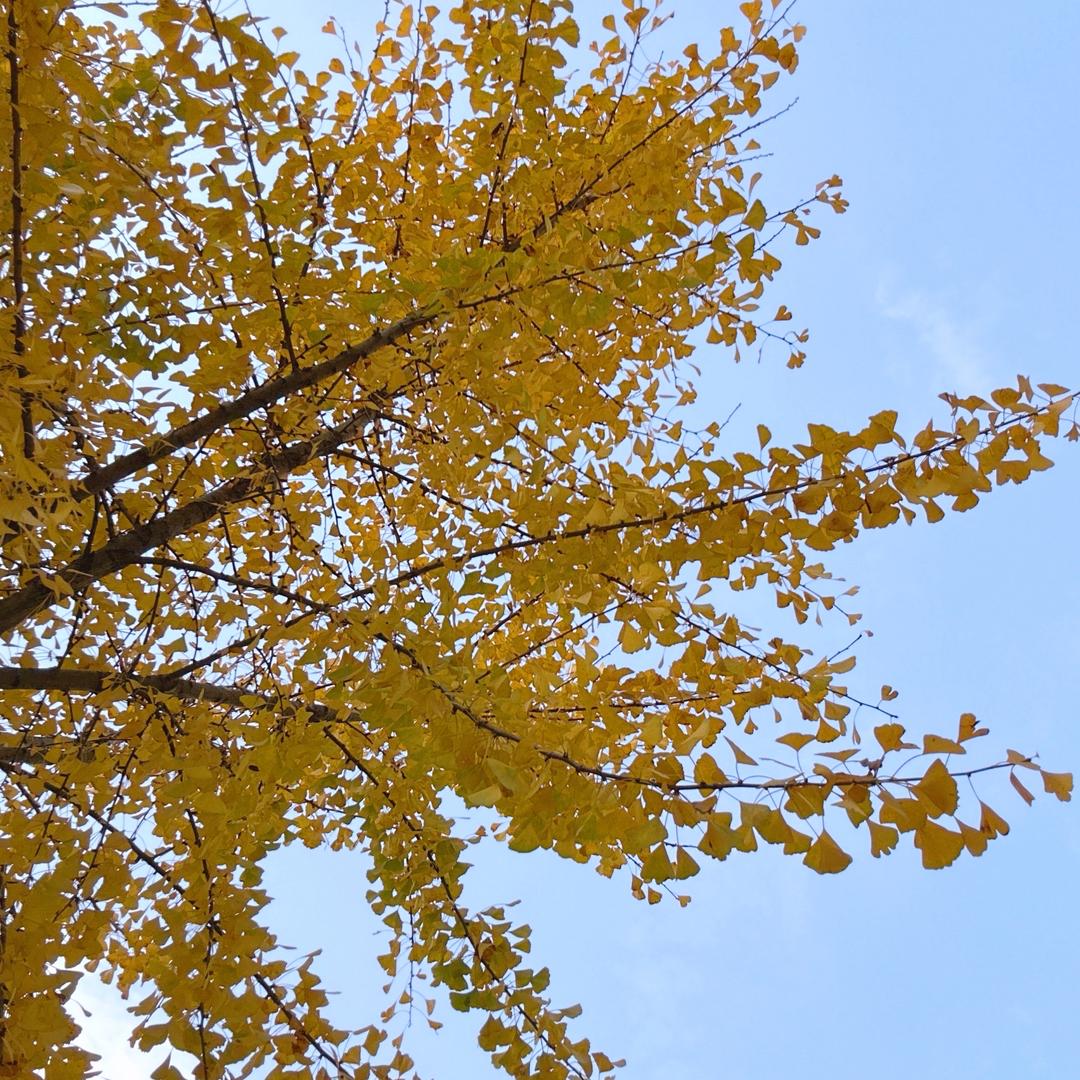 景亦《一起涨粉》