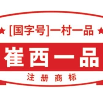 崔西一品