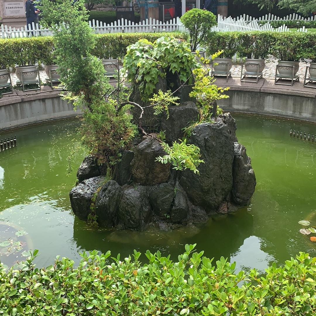 平静致远