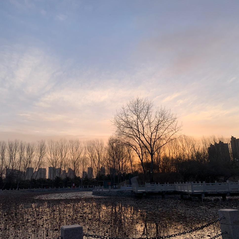 大象的鼻子爱喷水