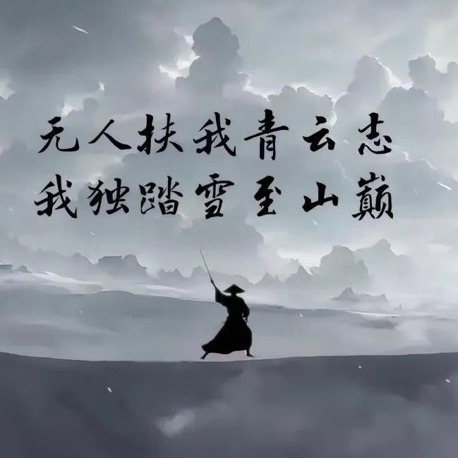 我自踏雪至山巅。