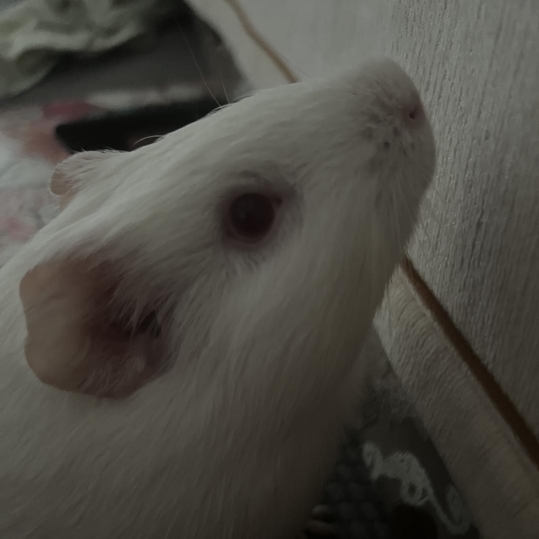 小乙外贸草编包