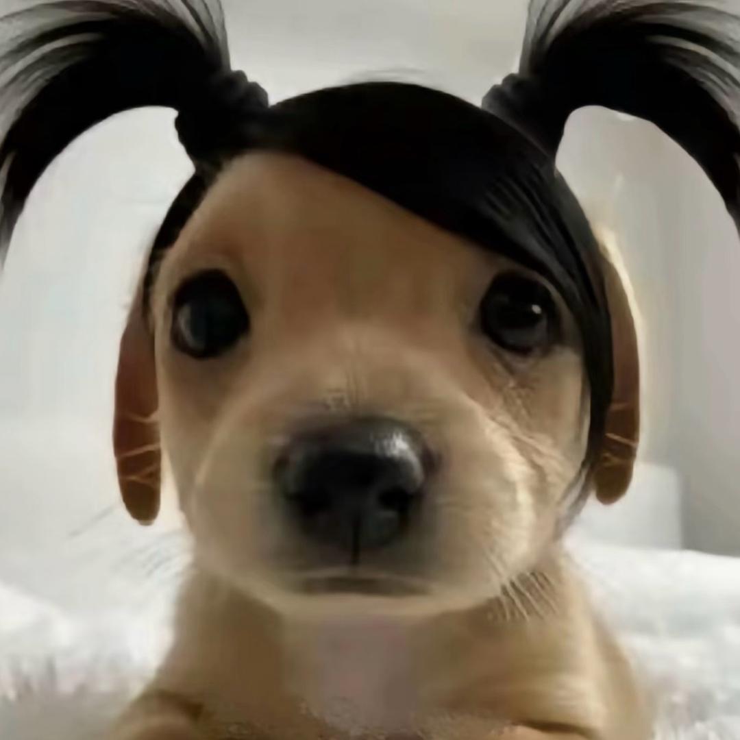 财源广进