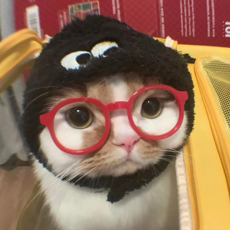 不会再哭