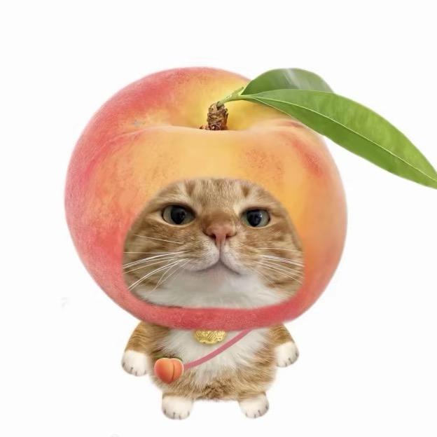 季森