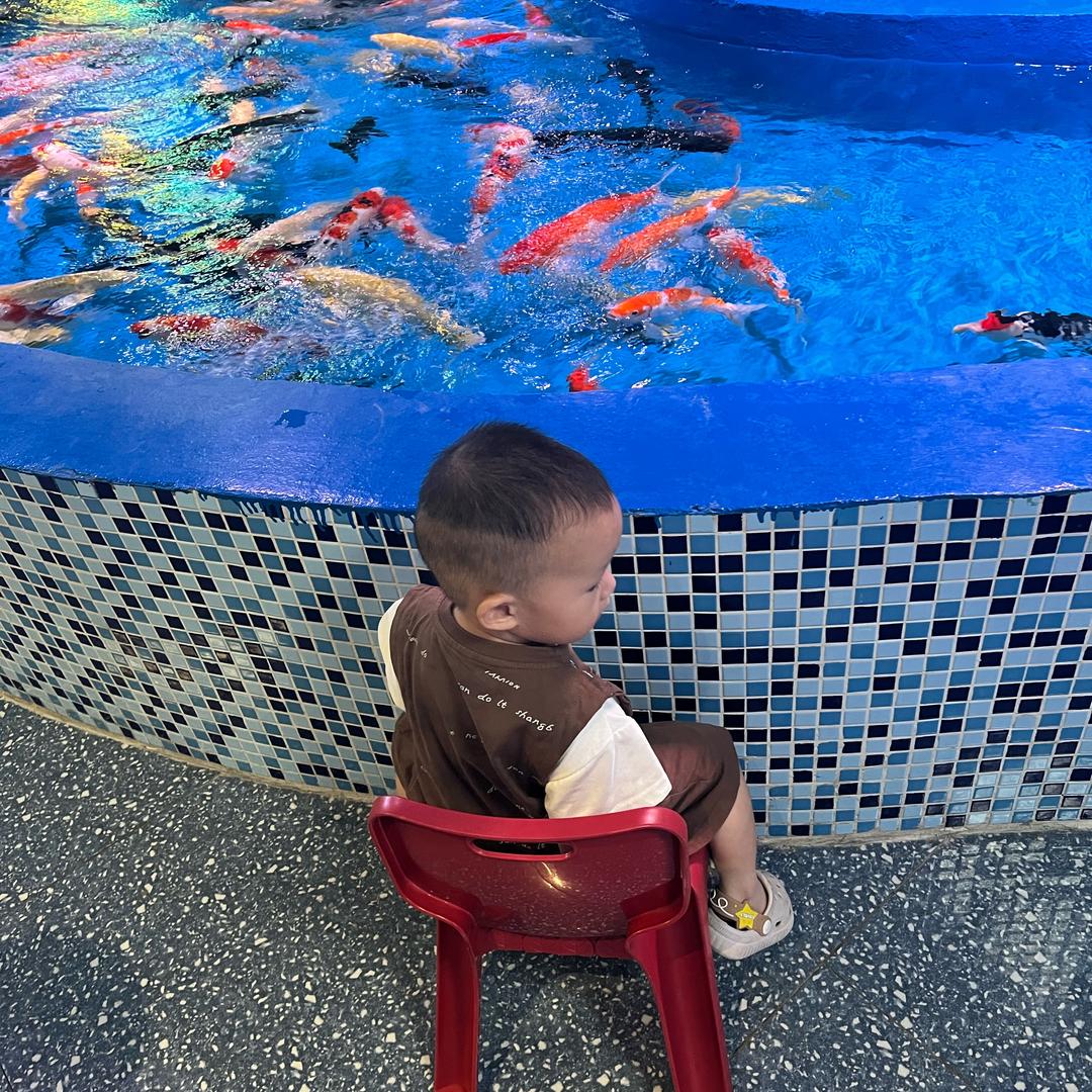 呦 好运加满⁺¹⁰⁰