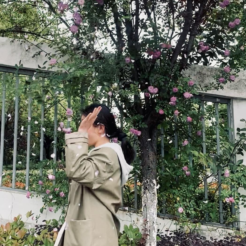 🐝彩菜踩