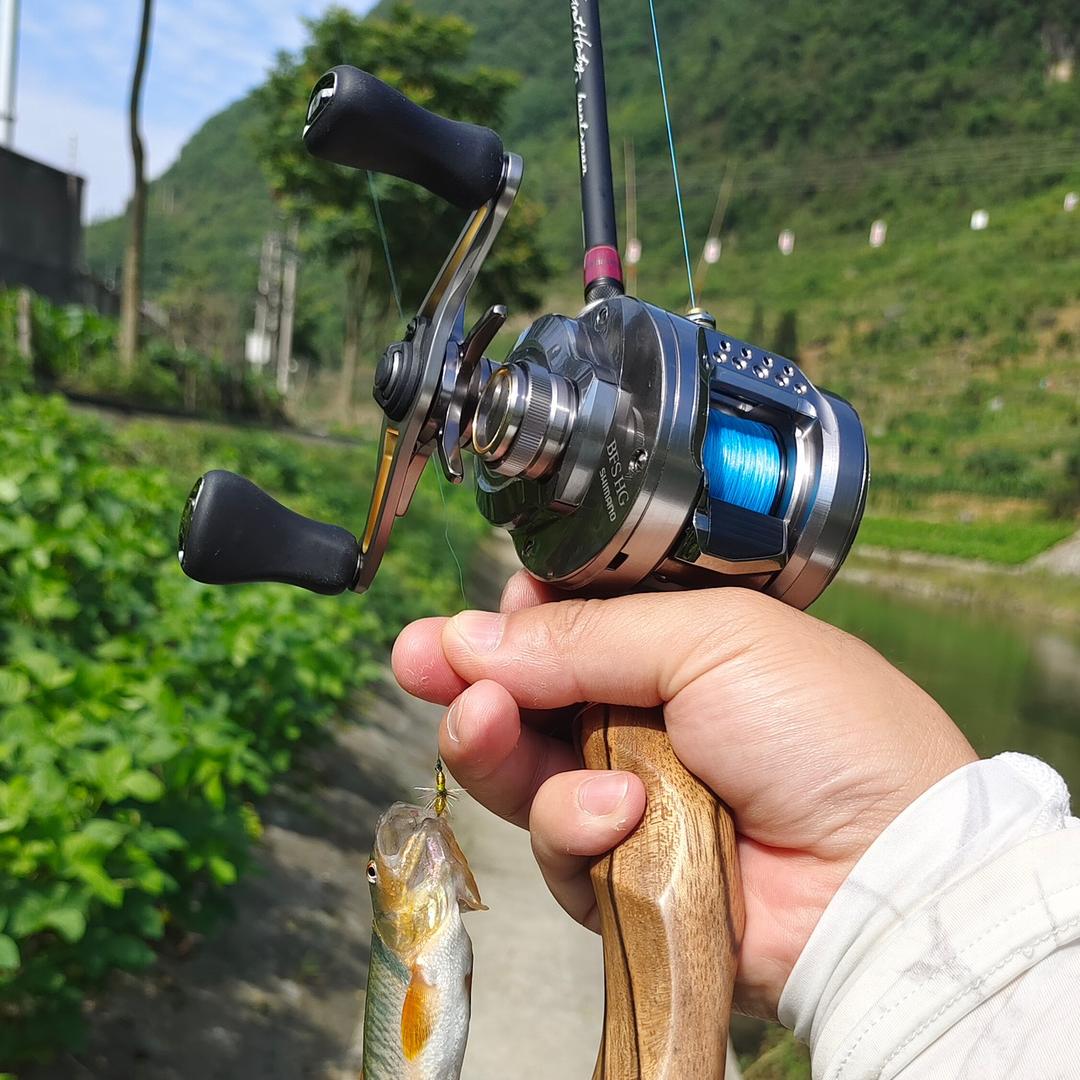 蓝山老鲈🎣🎣🎣
