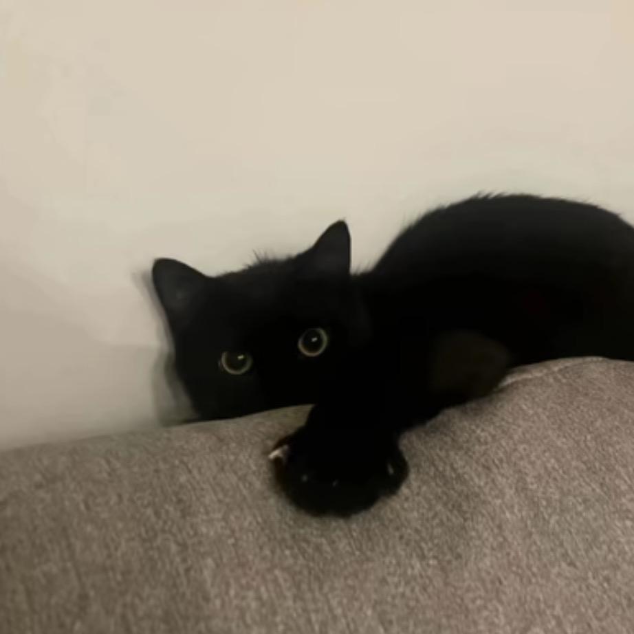 人傻嘴不甜长的安全还没钱