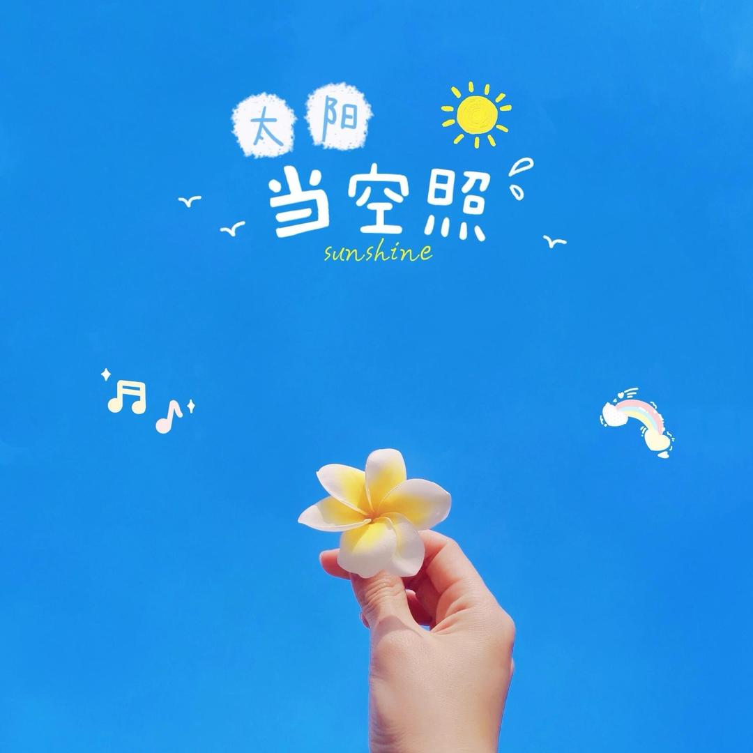 ☀️太阳当空赵
