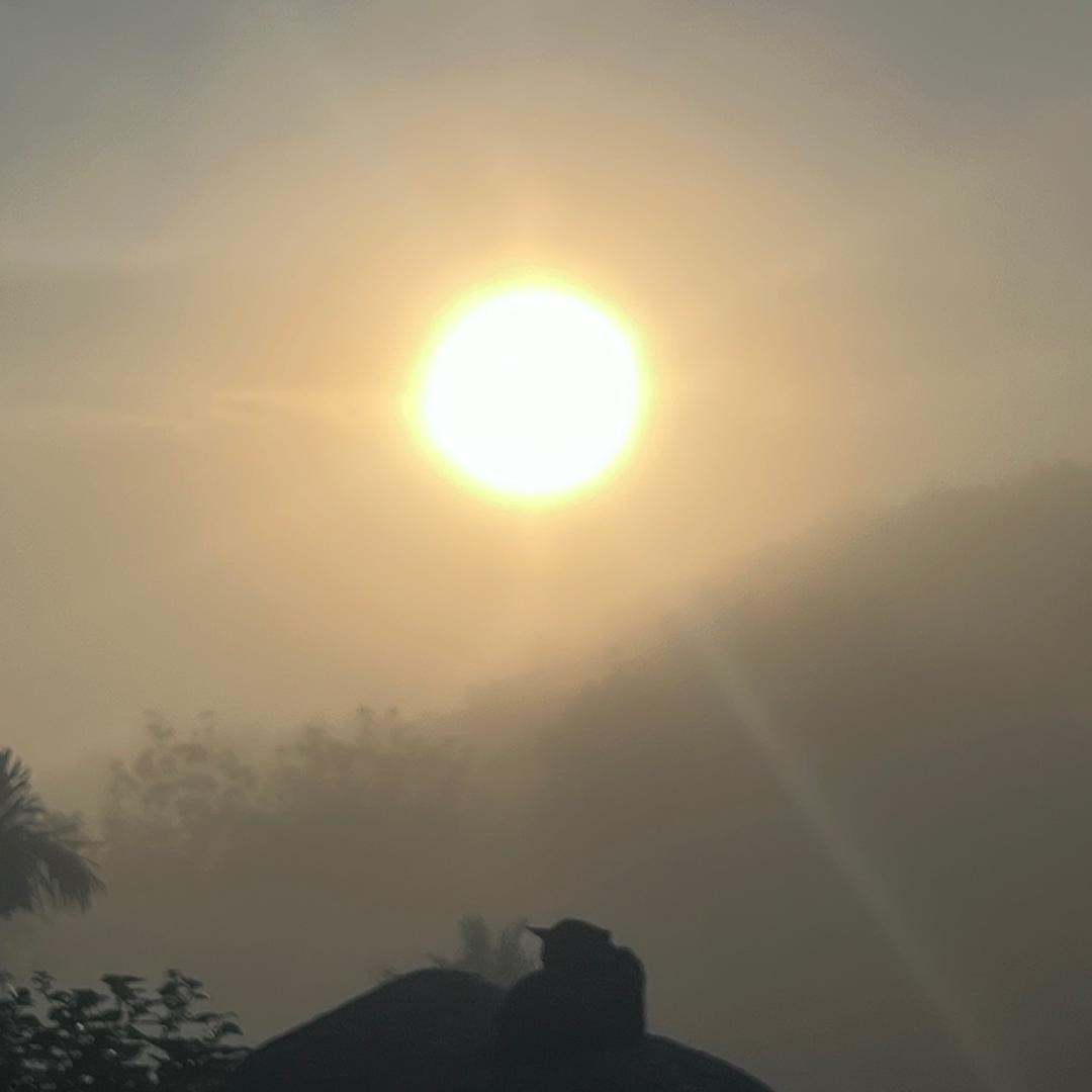 陳默画独山