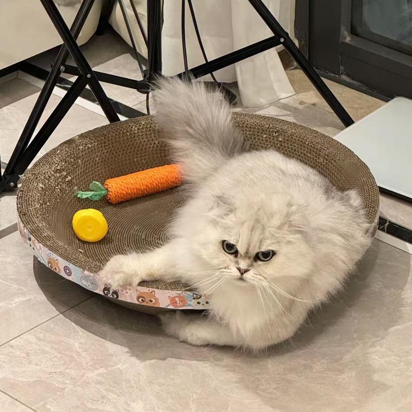 记录生活