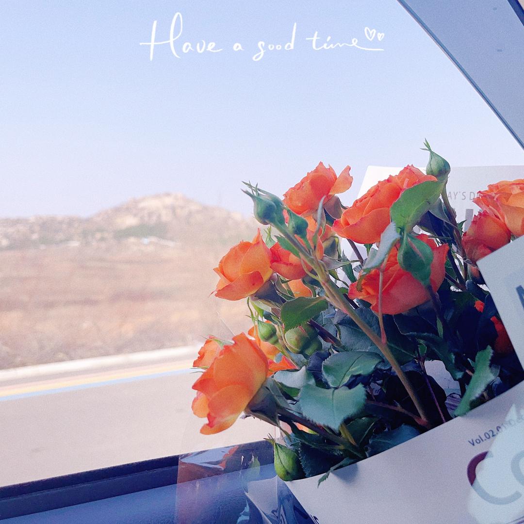 💃🏼瑞雪艺术（福利版）