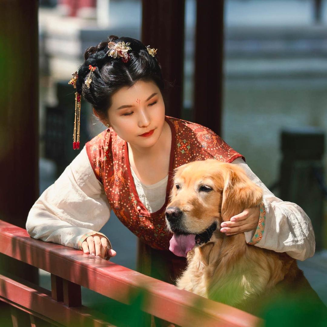 导盲犬沙果