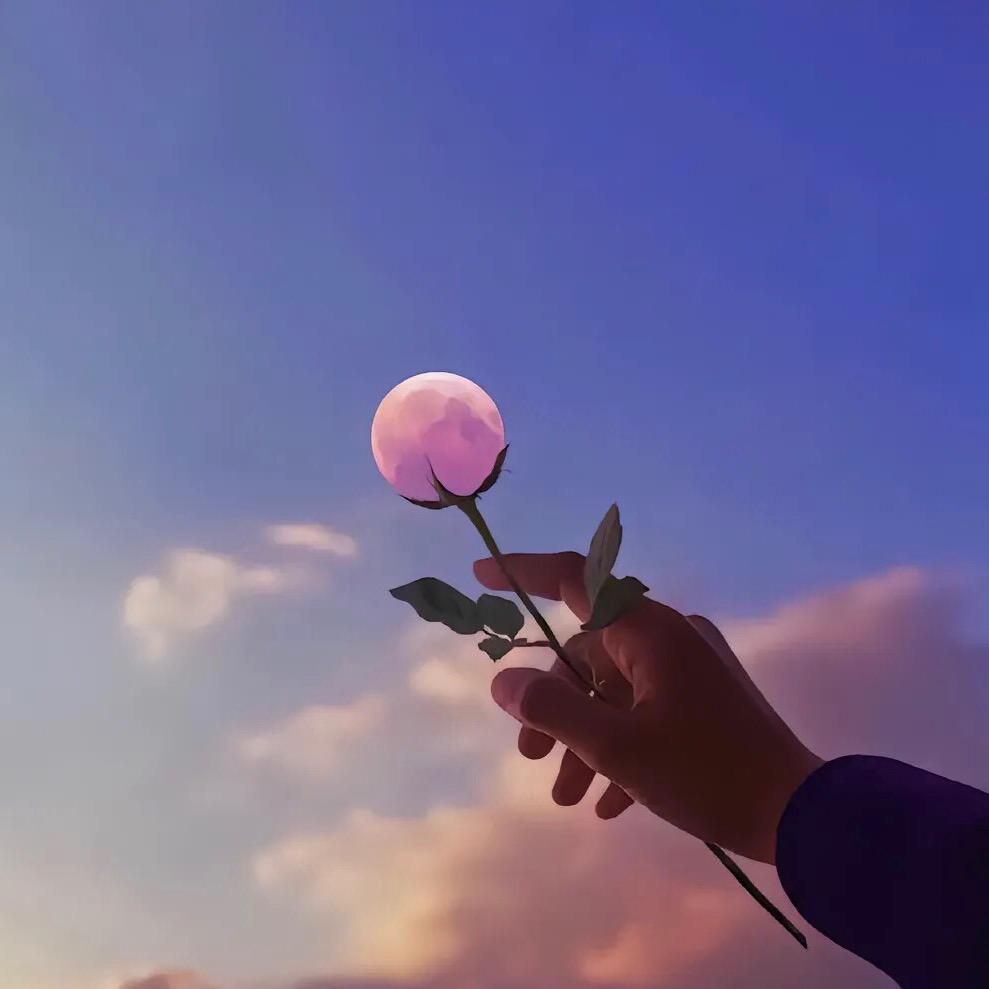 Ms🌸