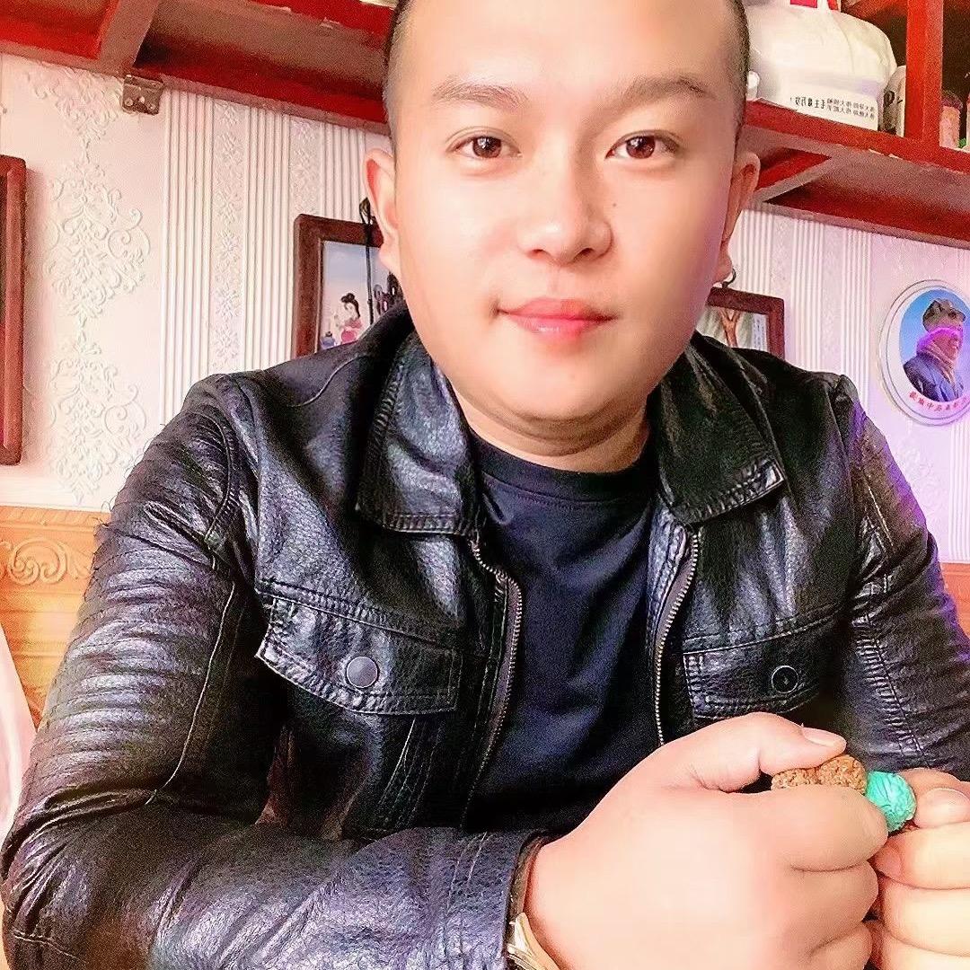 老陈与流浪猫的故事