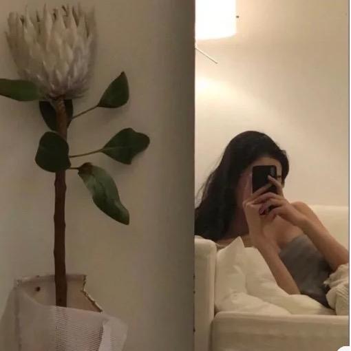 炭烤小肥杨y