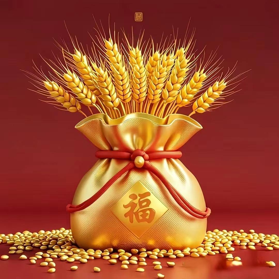 无愚