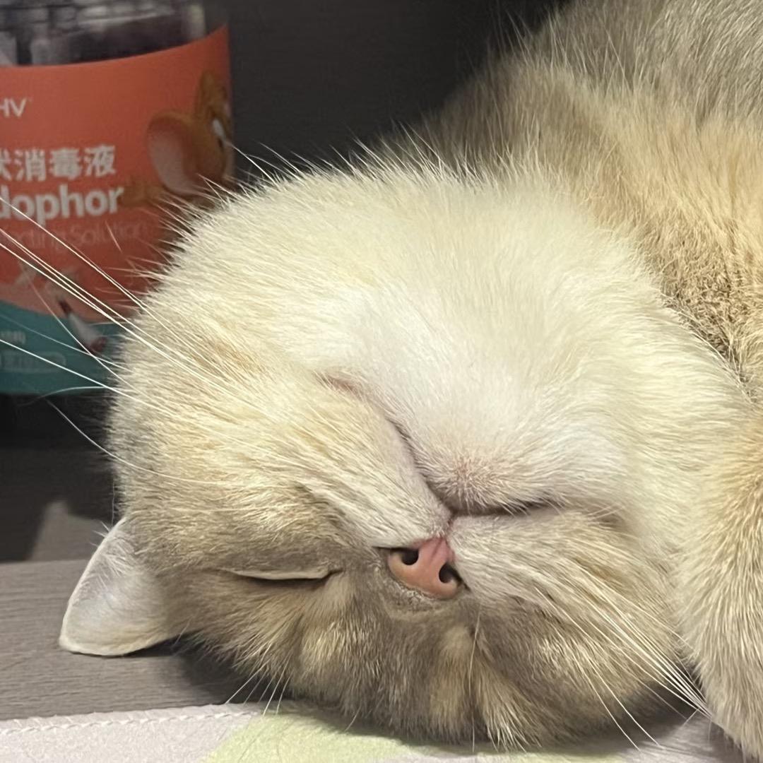 财源广进